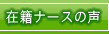 在籍ナースの声